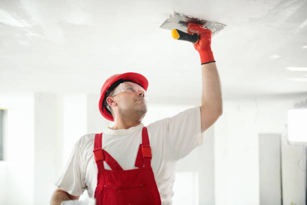 Reliable Coon Rapids, IA Dry wall and painting Solutions